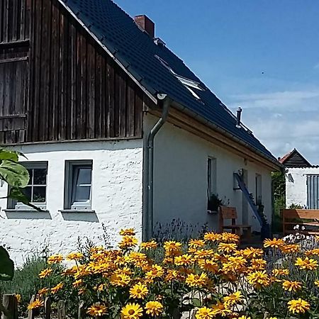 Zum Storchennest Hotel Kemnitz  Eksteriør billede